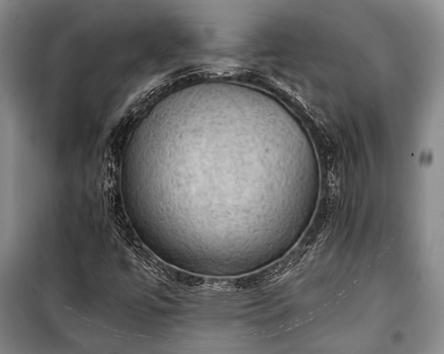 X0000100931447200807011210