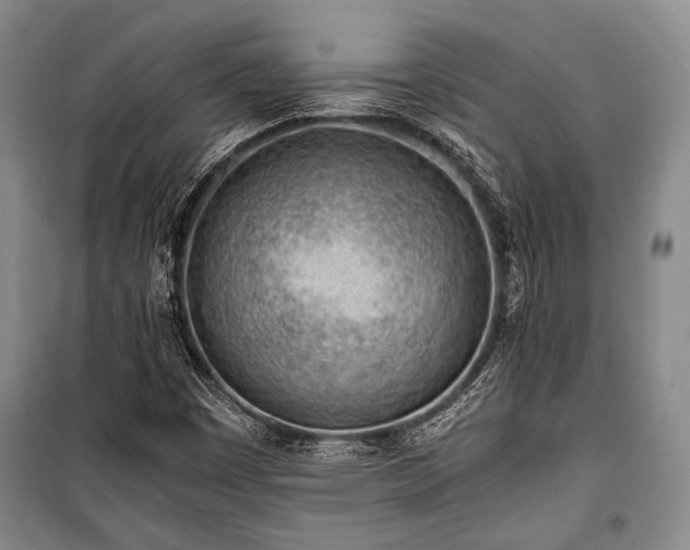 X0000100931449200807011210