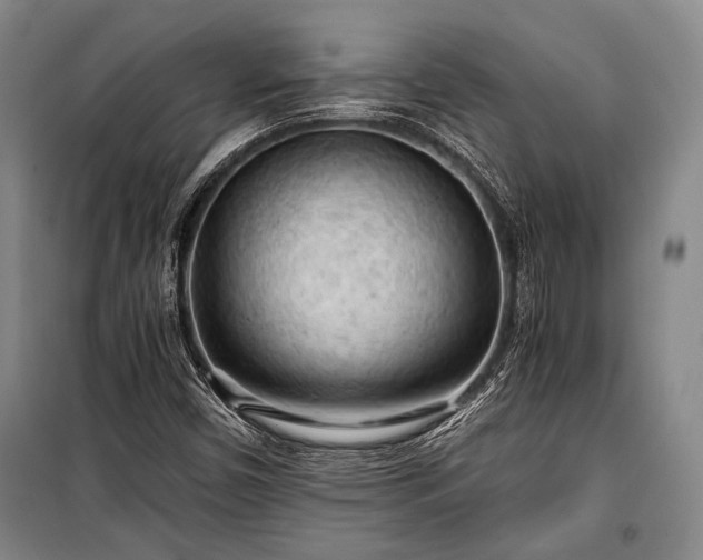 X0000100931450200807011210