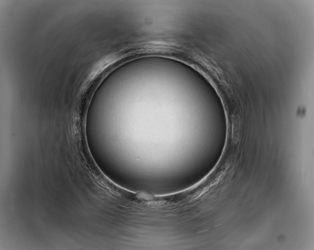 X0000100931453200807011210