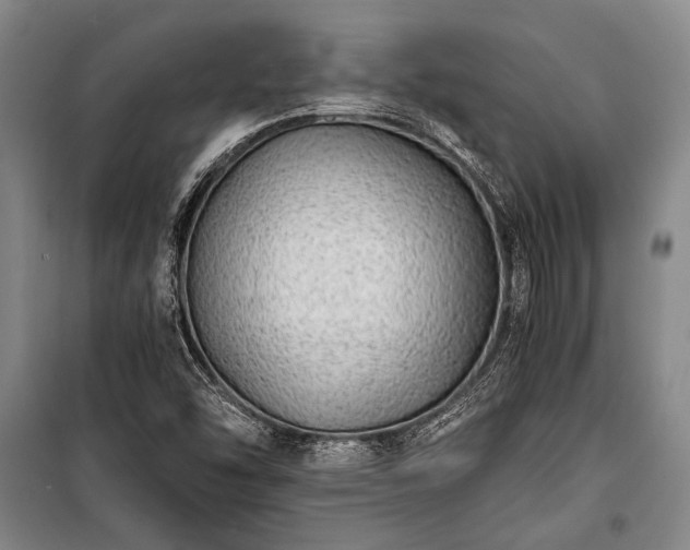 X0000100931454200807011210