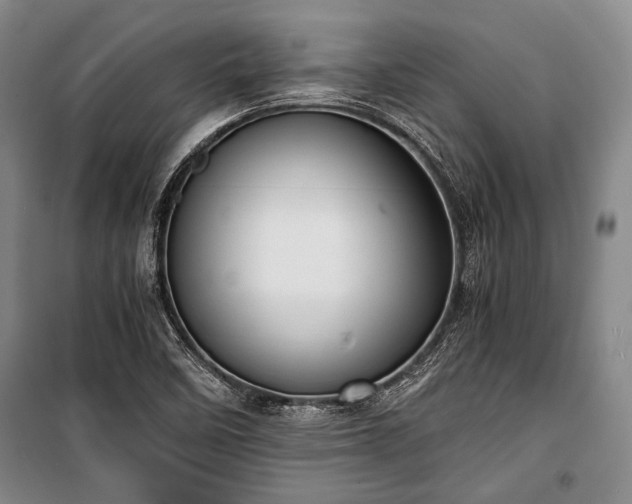 X0000100931458200807011210