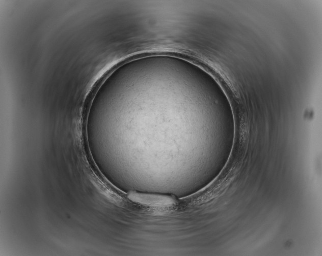 X0000100931460200807011210