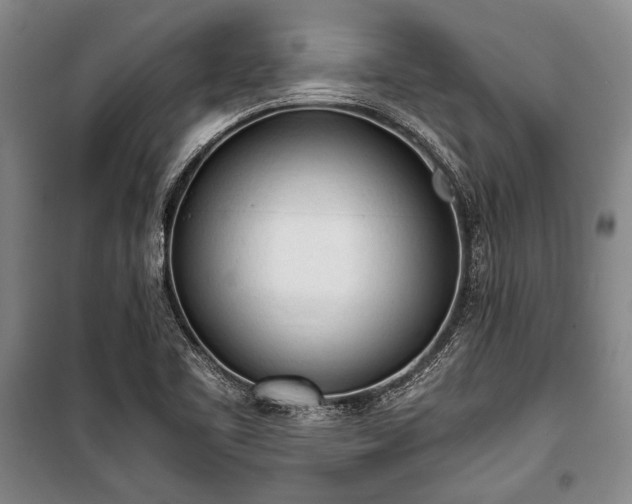 X0000100931461200807011210