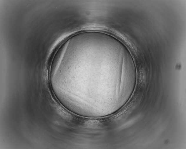 X0000100931462200807011210