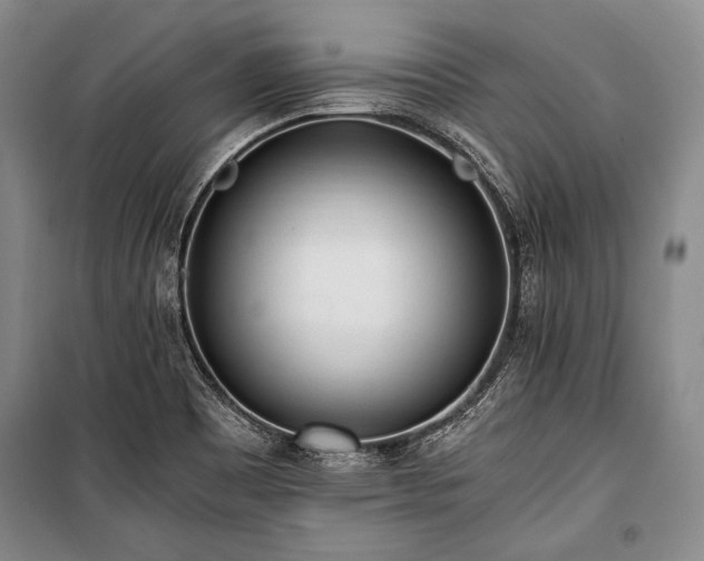 X0000100931465200807011210