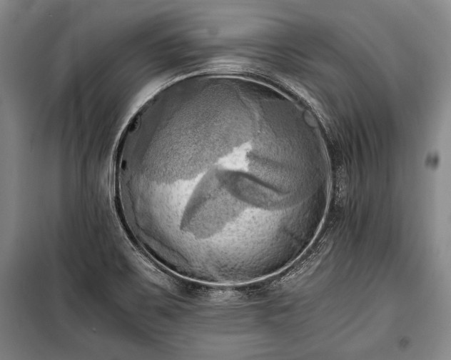 X0000100931467200807011209