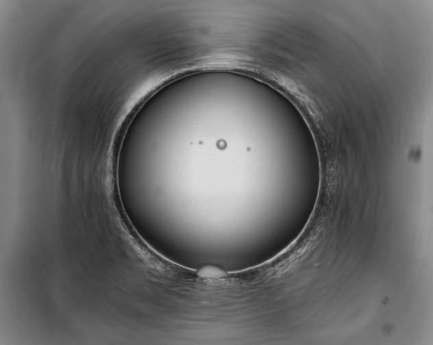 X0000100931469200807011209