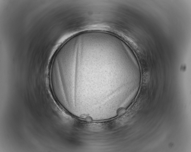 X0000100931470200807011209