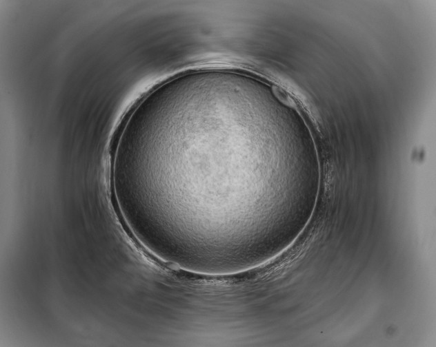 X0000100931472200807011209