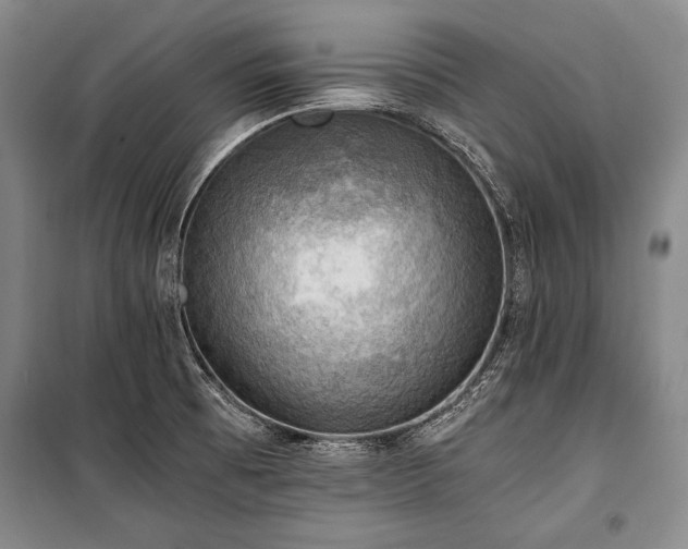 X0000100931473200807011209