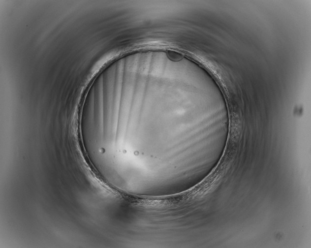 X0000100931474200807011209