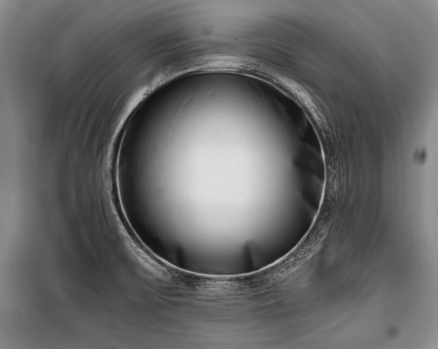 X0000100931475200807011209