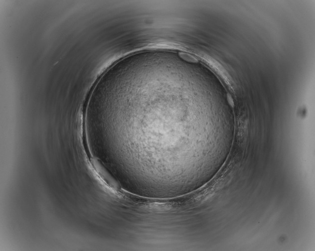 X0000100931476200807011209