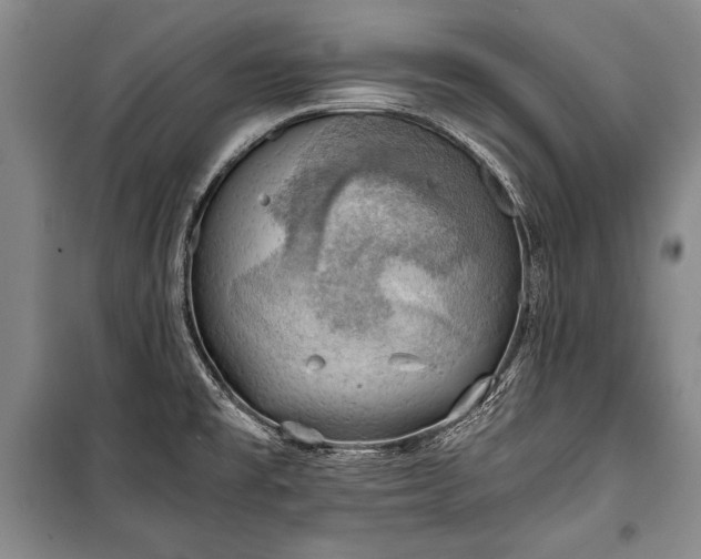 X0000100931477200807011209