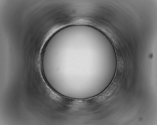 X0000100931478200807011209