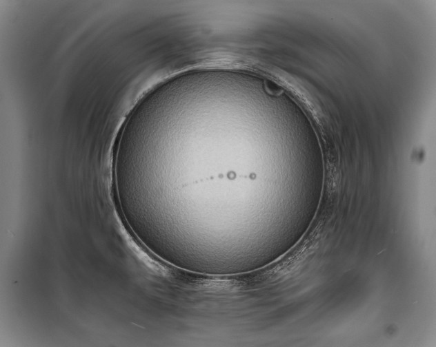 X0000100931479200807011209