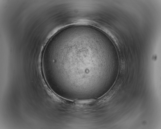 X0000100931480200807011209