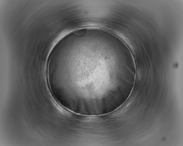 X0000100931482200807011209