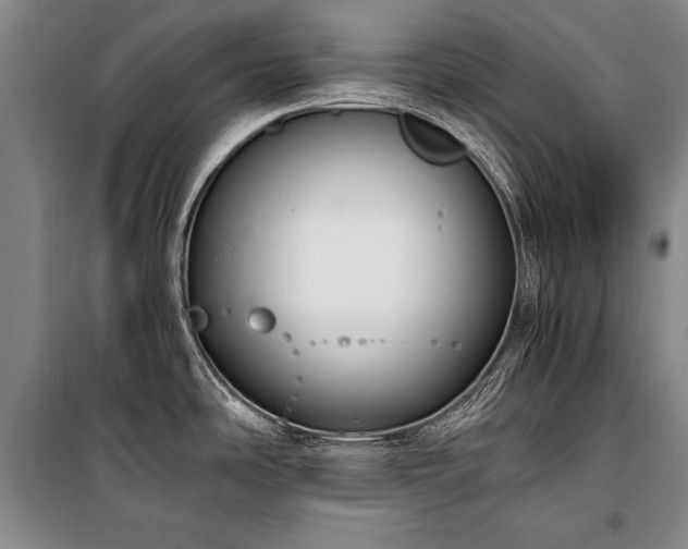 X0000100931486200807011209