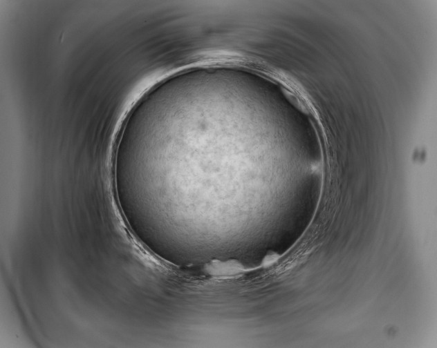 X0000100931488200807011209