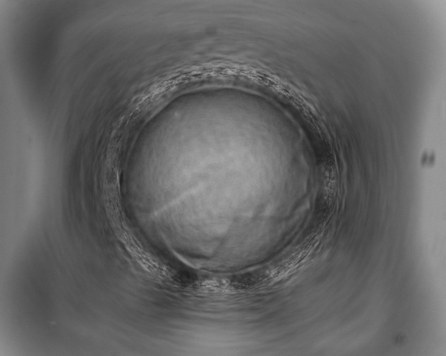 X0000100931489200807011209