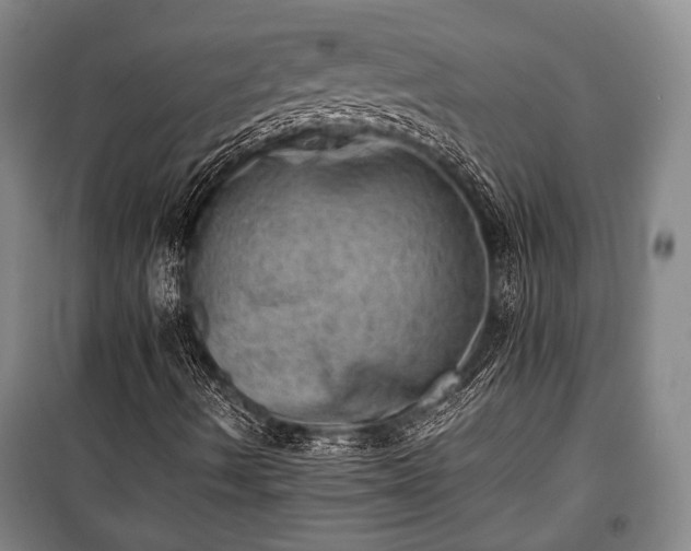 X0000100931490200807011209