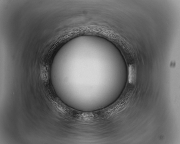 X0000100931491200807011209