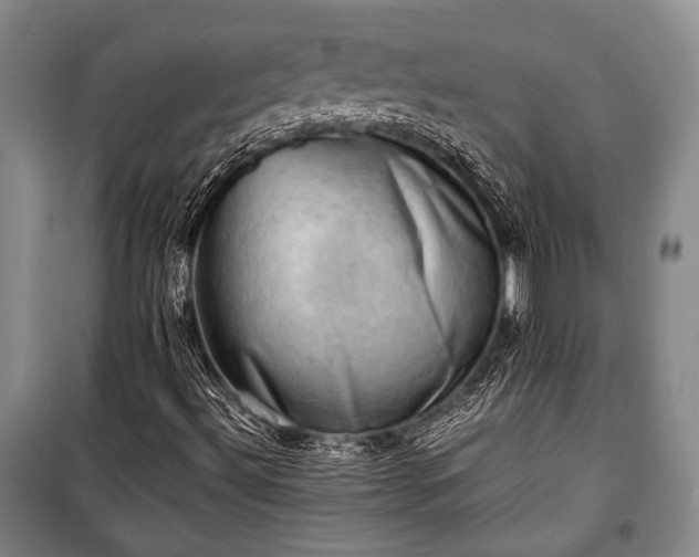 X0000100931492200807011209