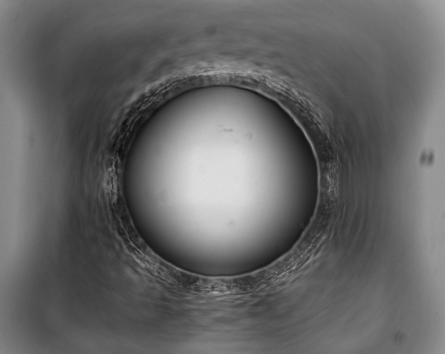 X0000100931493200807011209