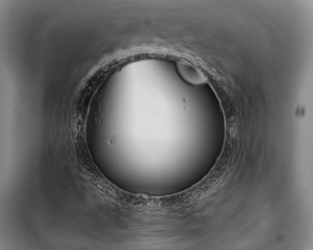 X0000100931495200807011209