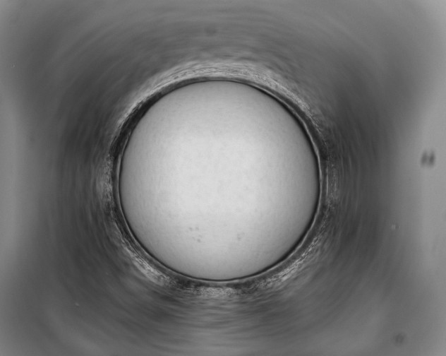 X0000100931498200807011209