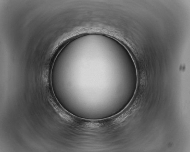 X0000100931499200807011209