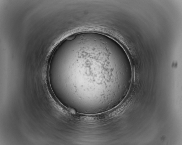 X0000100931500200807011209