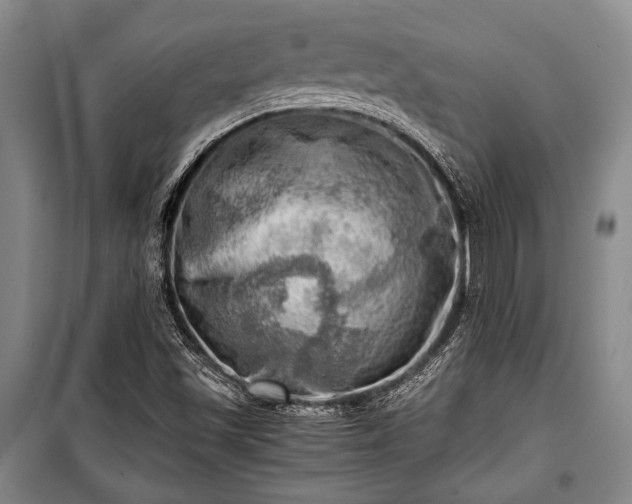 X0000100931501200807011209