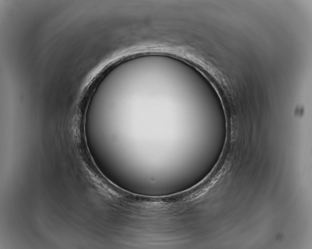 X0000100931502200807011209