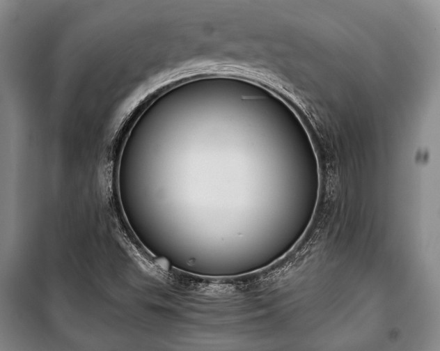 X0000100931503200807011209