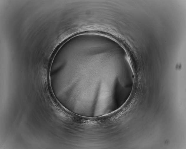 X0000100931505200807011209