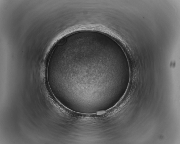 X0000100931506200807011209