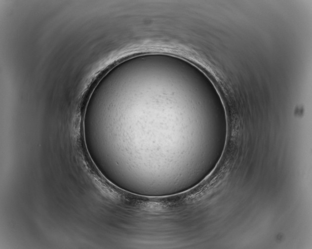 X0000100931507200807011209