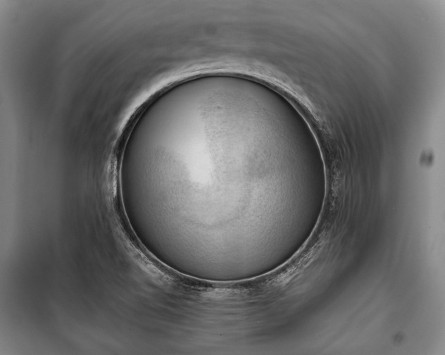 X0000100931510200807011209