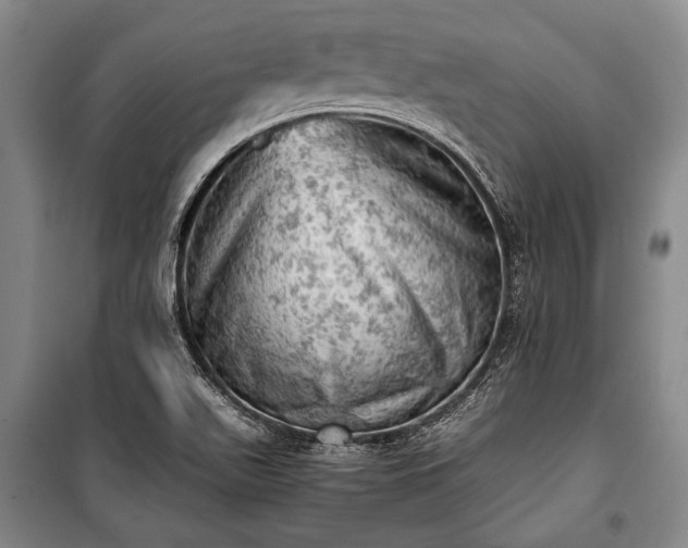 X0000100931511200807011209