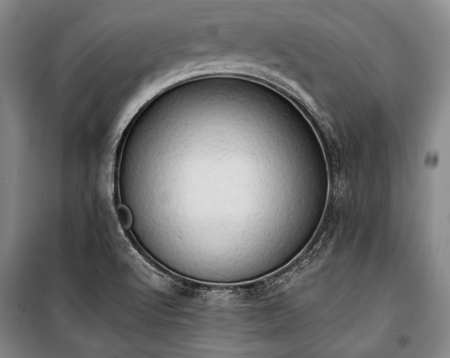 X0000100931512200807011209