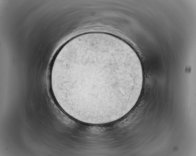 X0000100931514200807011209