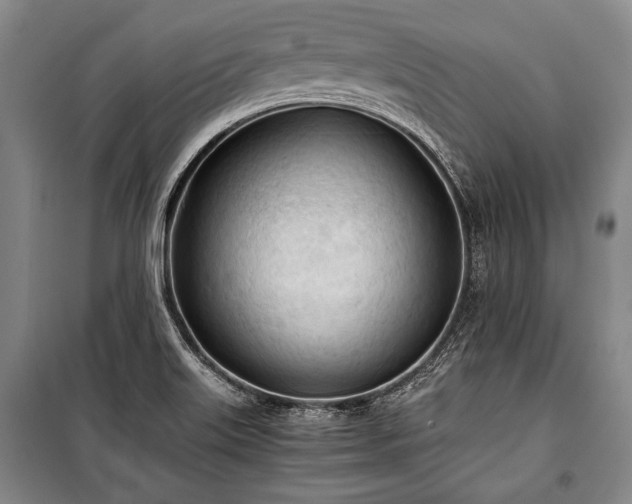 X0000100931515200807011209