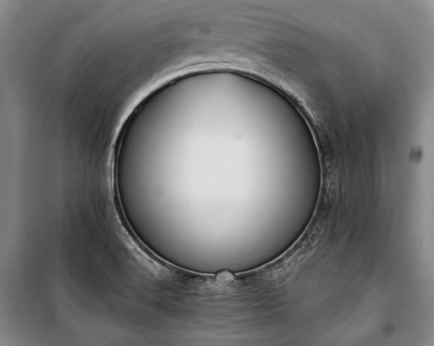 X0000100931516200807011209