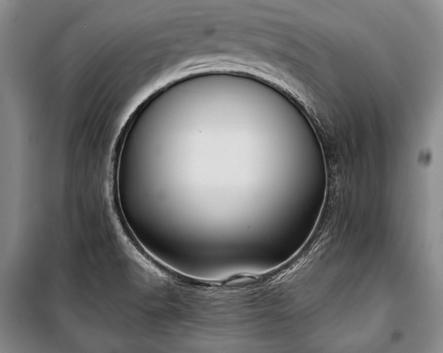 X0000100931518200807011209