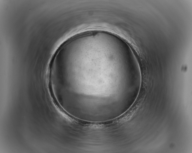 X0000100931519200807011209