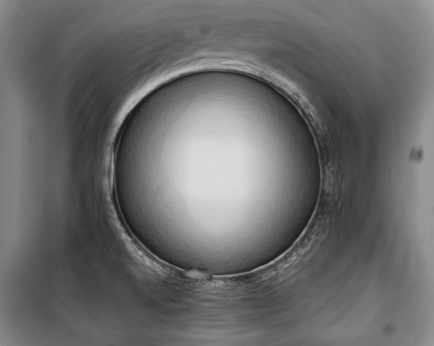 X0000100931520200807011209