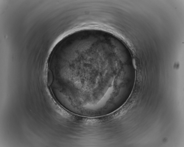 X0000100931522200807011209